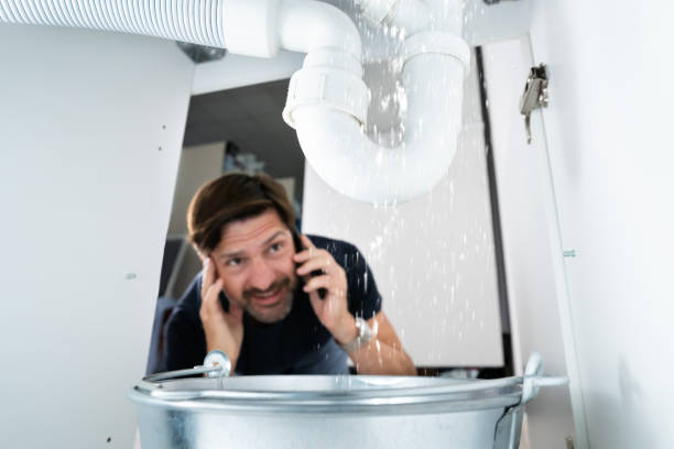 Best Shower Repair Services  in Santa Teresa, NM